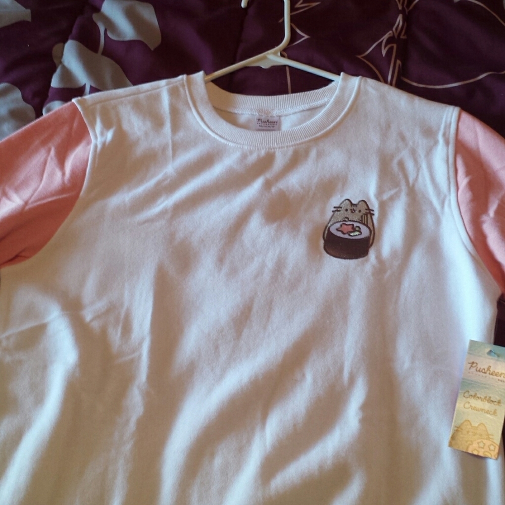 Pusheen Colorblock Crewneck Sweatshirt